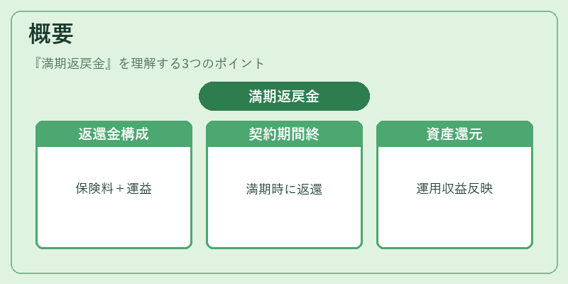 概要（満期返戻金）の図解