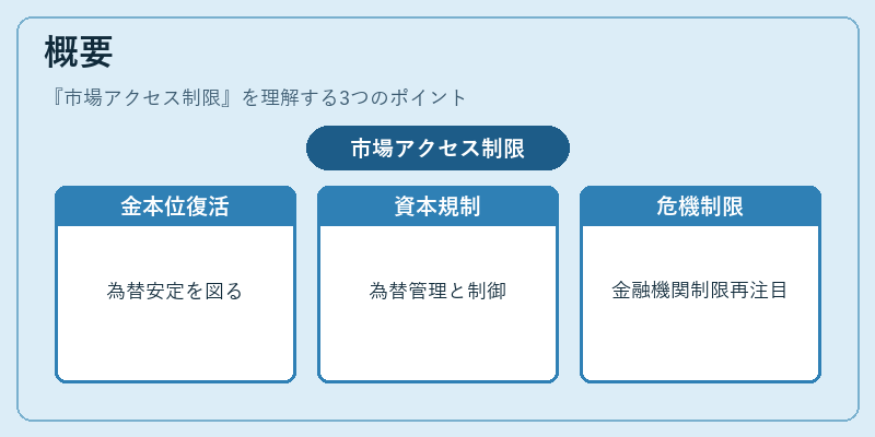 概要（市場アクセス制限）の図解