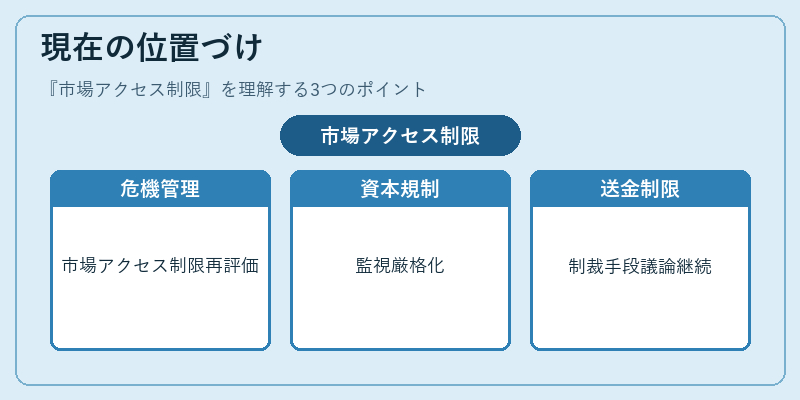 現在の位置づけ（市場アクセス制限）の図解