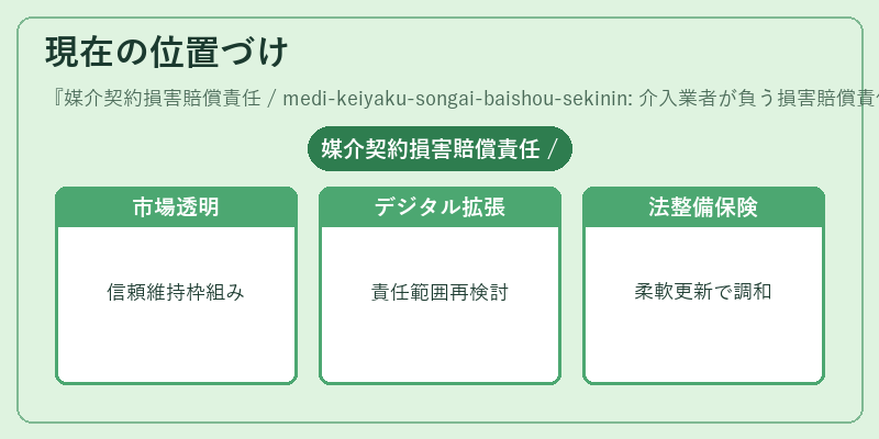 現在の位置づけ（媒介契約損害賠償責任 / medi-keiyaku-songai-baishou-sekinin: 介入業者が負う損害賠償責任の範囲を定める。）の図解