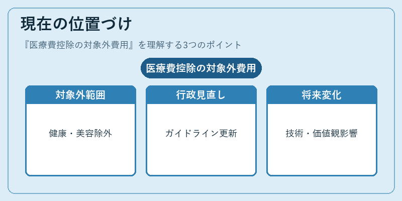 現在の位置づけ(医療費控除の対象外費用)の図解