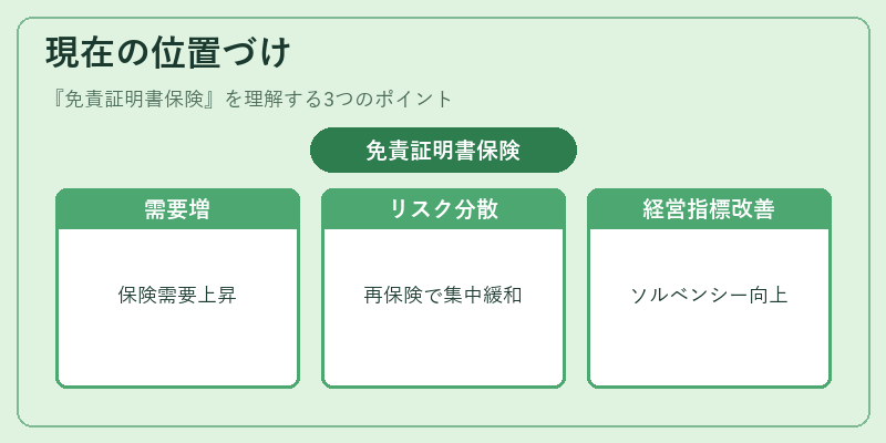 現在の位置づけ（免責証明書保険）の図解