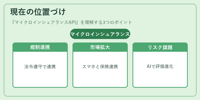 現在の位置づけ（マイクロインシュアランスAPI）の図解
