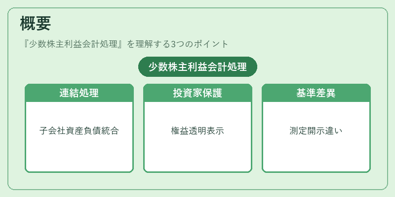 概要（少数株主利益会計処理）の図解
