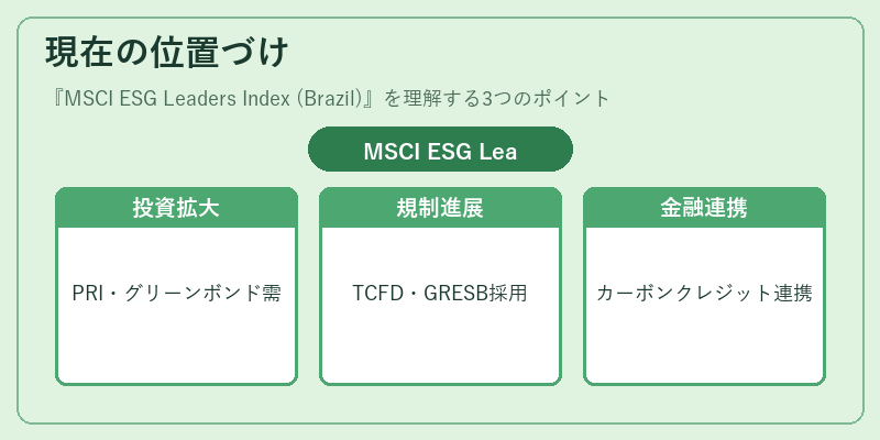 現在の位置づけ（MSCI ESG Leaders Index (Brazil)）の図解