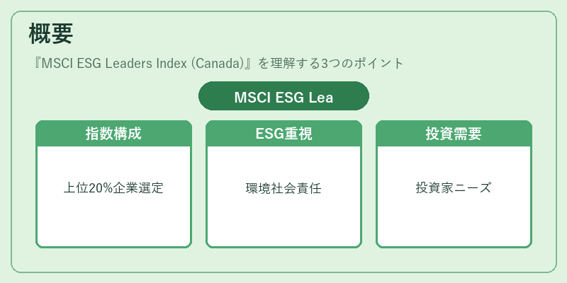 概要（MSCI ESG Leaders Index (Canada)）の図解