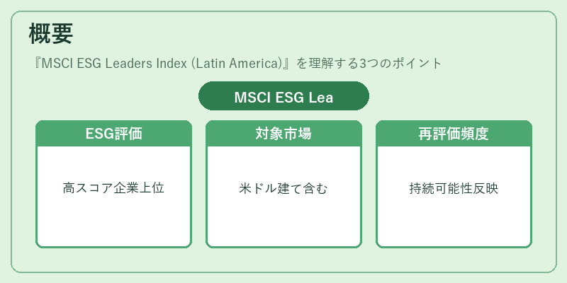 概要（MSCI ESG Leaders Index (Latin America)）の図解