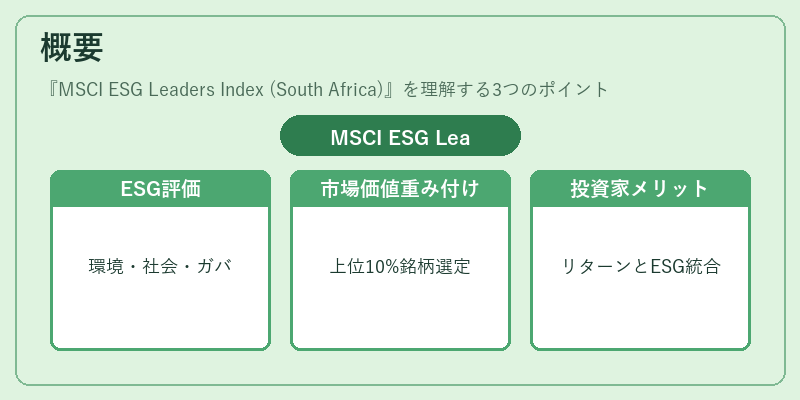 概要（MSCI ESG Leaders Index (South Africa)）の図解