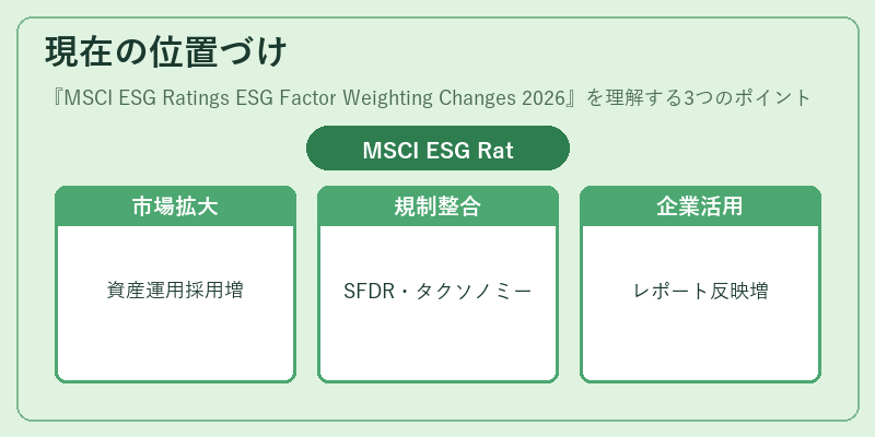 現在の位置づけ（MSCI ESG Ratings ESG Factor Weighting Changes 2026）の図解