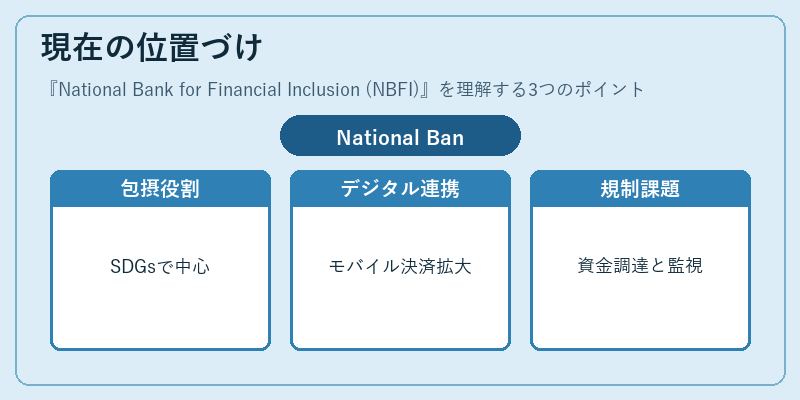 現在の位置づけ(National Bank for Financial Inclusion (NBFI))の図解