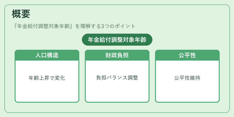 概要（年金給付調整対象年齢）の図解