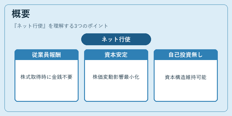 概要（ネット行使）の図解