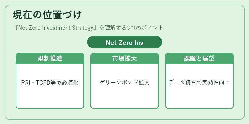 現在の位置づけ（Net Zero Investment Strategy）の図解