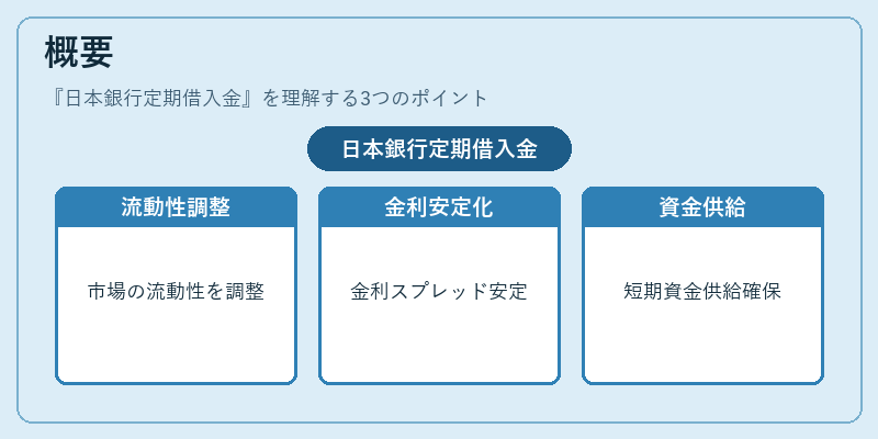 概要(日本銀行定期借入金)の図解