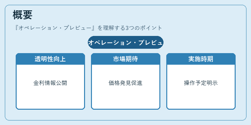 概要（オペレーション・プレビュー）の図解