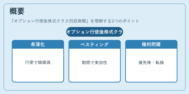 概要(オプション行使後株式クラス別投資額)の図解