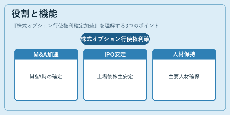 役割と機能（株式オプション行使権利確定加速）の図解