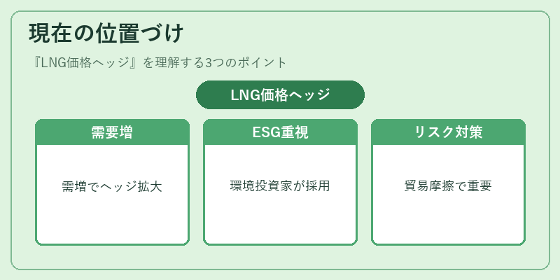 現在の位置づけ（LNG価格ヘッジ）の図解