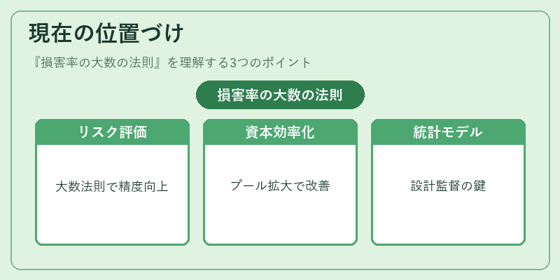 現在の位置づけ（損害率の大数の法則）の図解
