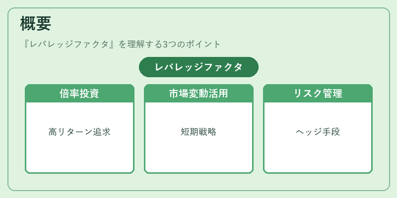 概要(レバレッジファクタ)の図解