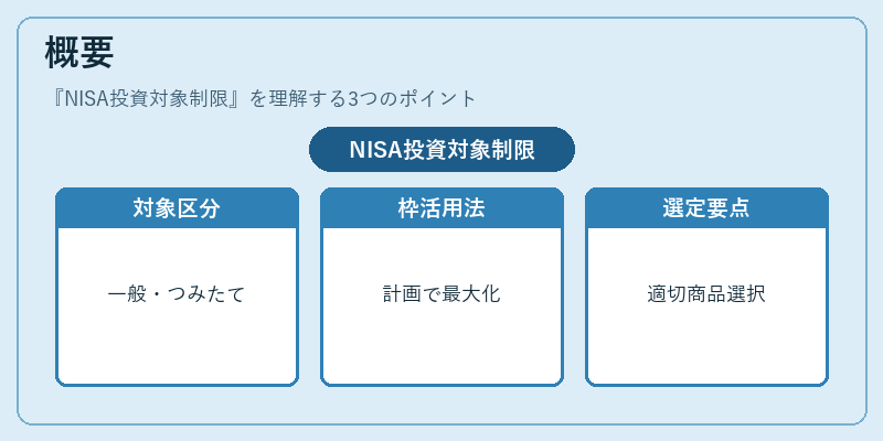 概要（NISA投資対象制限）の図解