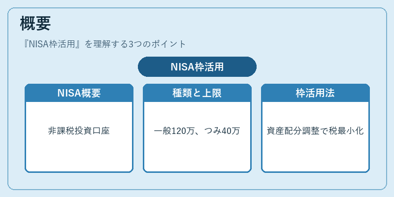 概要（NISA枠活用）の図解