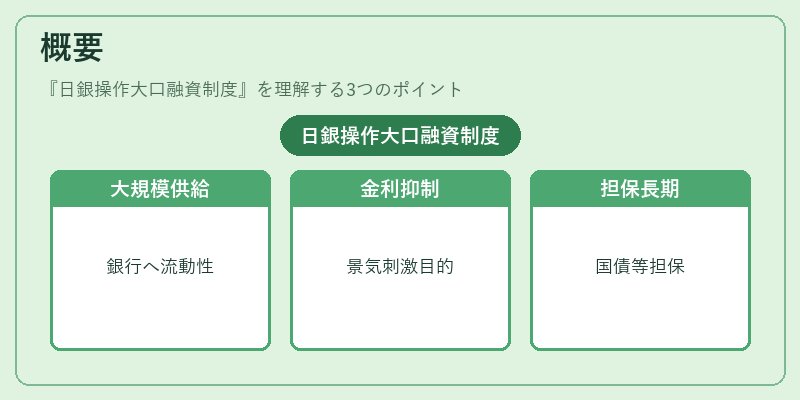 概要（日銀操作大口融資制度）の図解