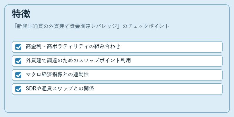 特徴（新興国通貨の外貨建て資金調達レバレッジ）の図解