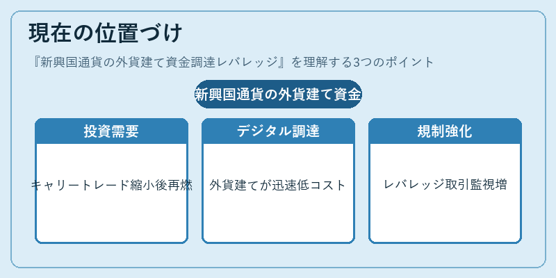 現在の位置づけ（新興国通貨の外貨建て資金調達レバレッジ）の図解
