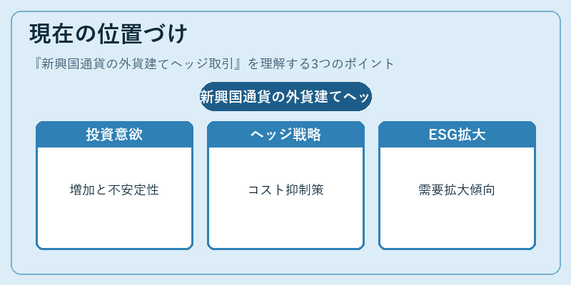 現在の位置づけ（新興国通貨の外貨建てヘッジ取引）の図解
