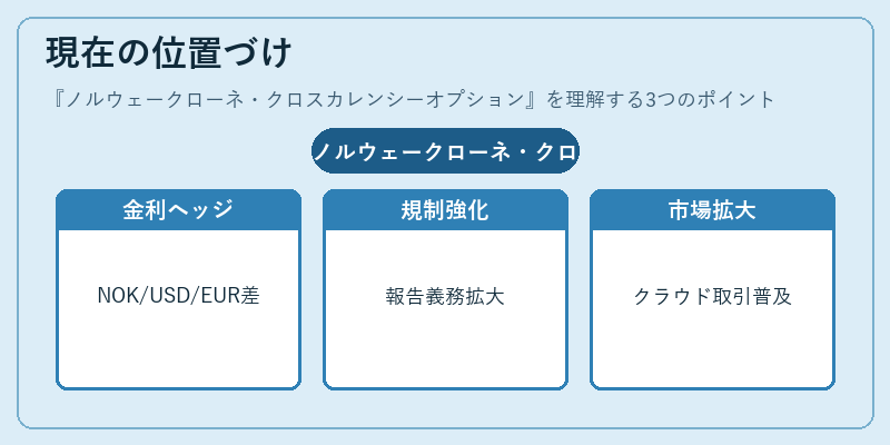 現在の位置づけ（ノルウェークローネ・クロスカレンシーオプション）の図解