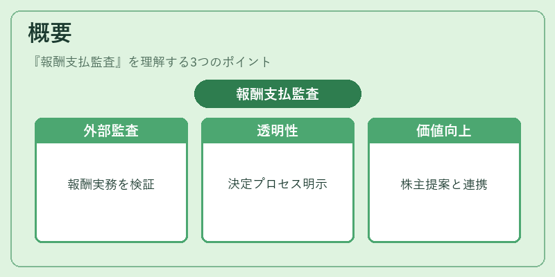 概要(報酬支払監査)の図解