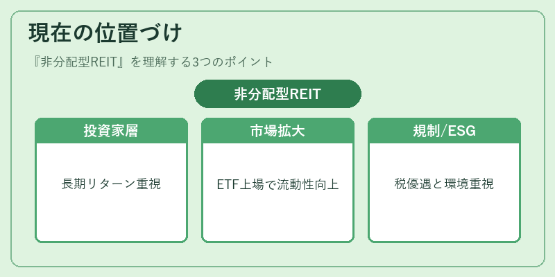 現在の位置づけ（非分配型REIT）の図解