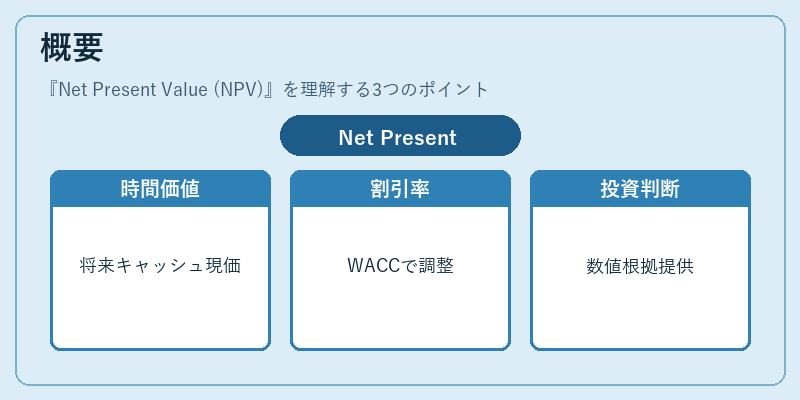 概要（Net Present Value (NPV)）の図解