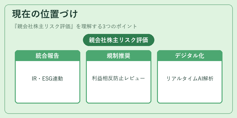 現在の位置づけ（親会社株主リスク評価）の図解