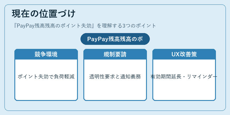 現在の位置づけ(PayPay残高残高のポイント失効)の図解