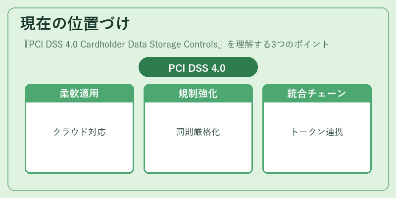 現在の位置づけ（PCI DSS 4.0 Cardholder Data Storage Controls）の図解