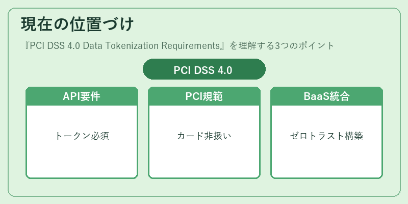 現在の位置づけ（PCI DSS 4.0 Data Tokenization Requirements）の図解