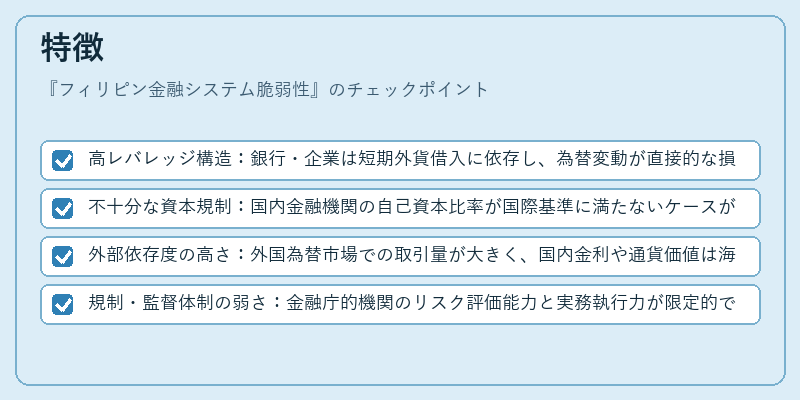 特徴（フィリピン金融システム脆弱性）の図解
