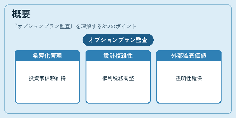 概要(オプションプラン監査)の図解
