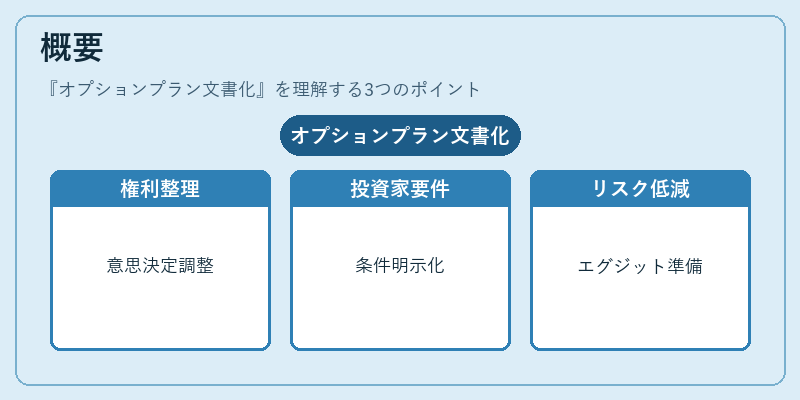 概要（オプションプラン文書化）の図解