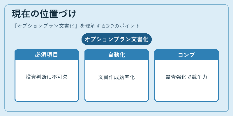 現在の位置づけ（オプションプラン文書化）の図解