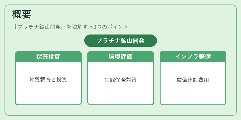 概要（プラチナ鉱山開発）の図解