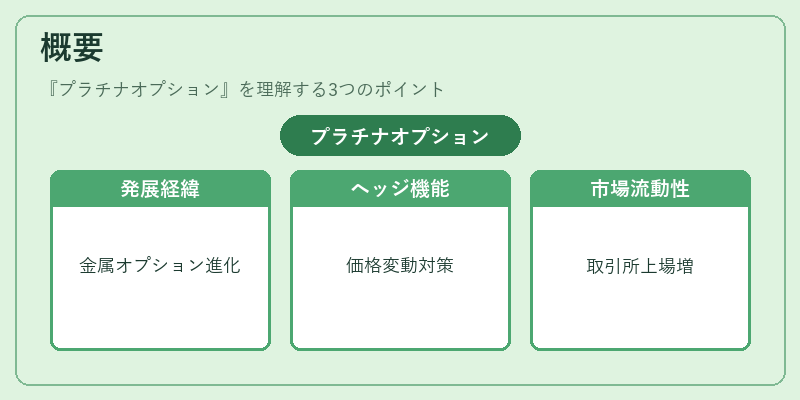 概要（プラチナオプション）の図解