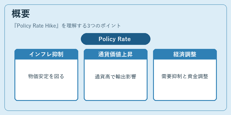 概要（Policy Rate Hike）の図解