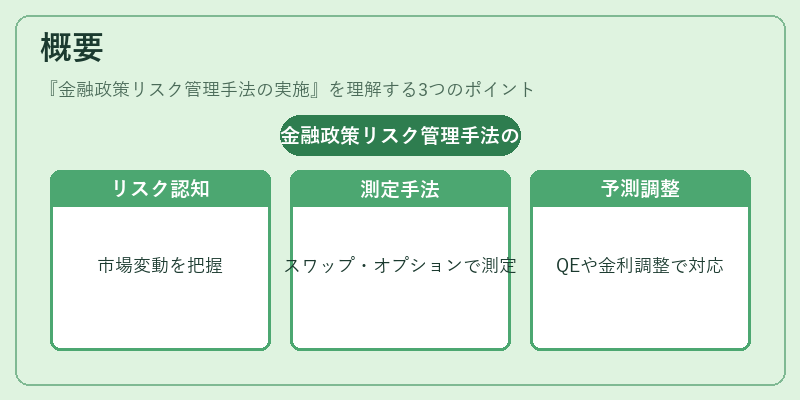 概要(金融政策リスク管理手法の実施)の図解
