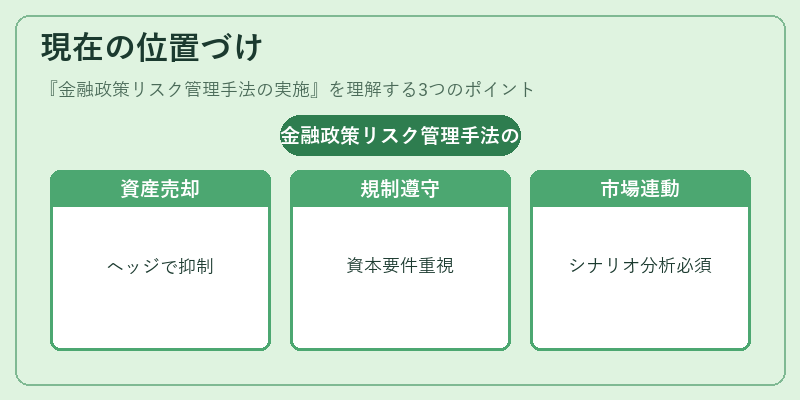現在の位置づけ(金融政策リスク管理手法の実施)の図解