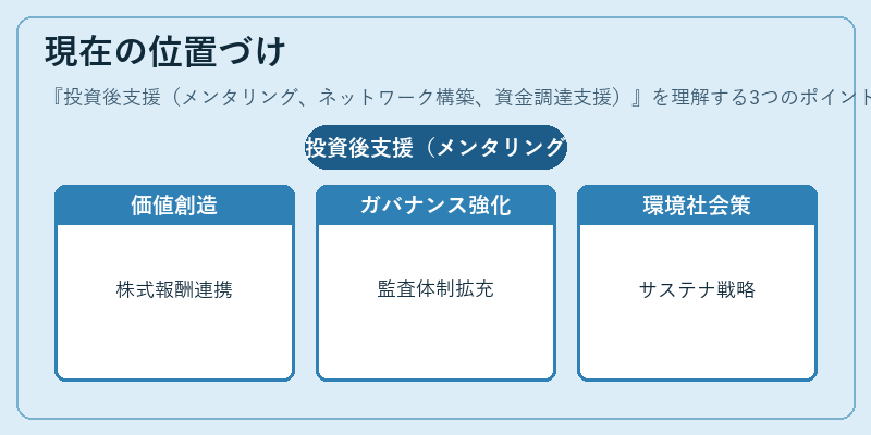 現在の位置づけ（投資後支援（メンタリング、ネットワーク構築、資金調達支援））の図解