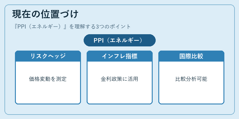 現在の位置づけ（PPI（エネルギー））の図解