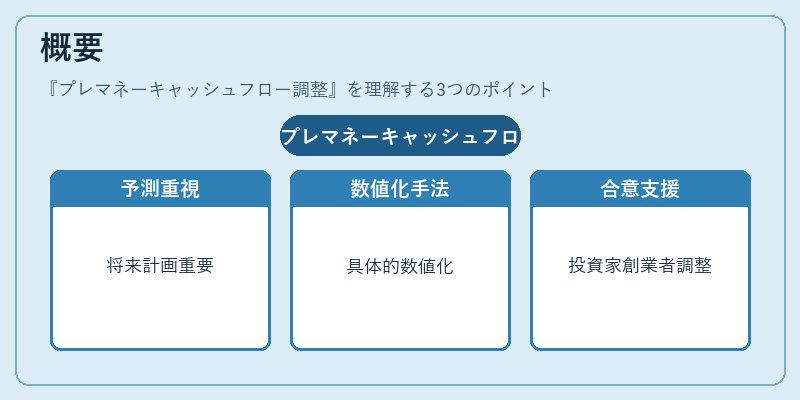 概要（プレマネーキャッシュフロー調整）の図解